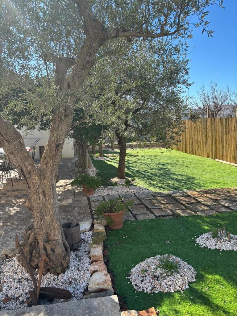 Trullo Vacanza Alberobello Eksteriør billede
