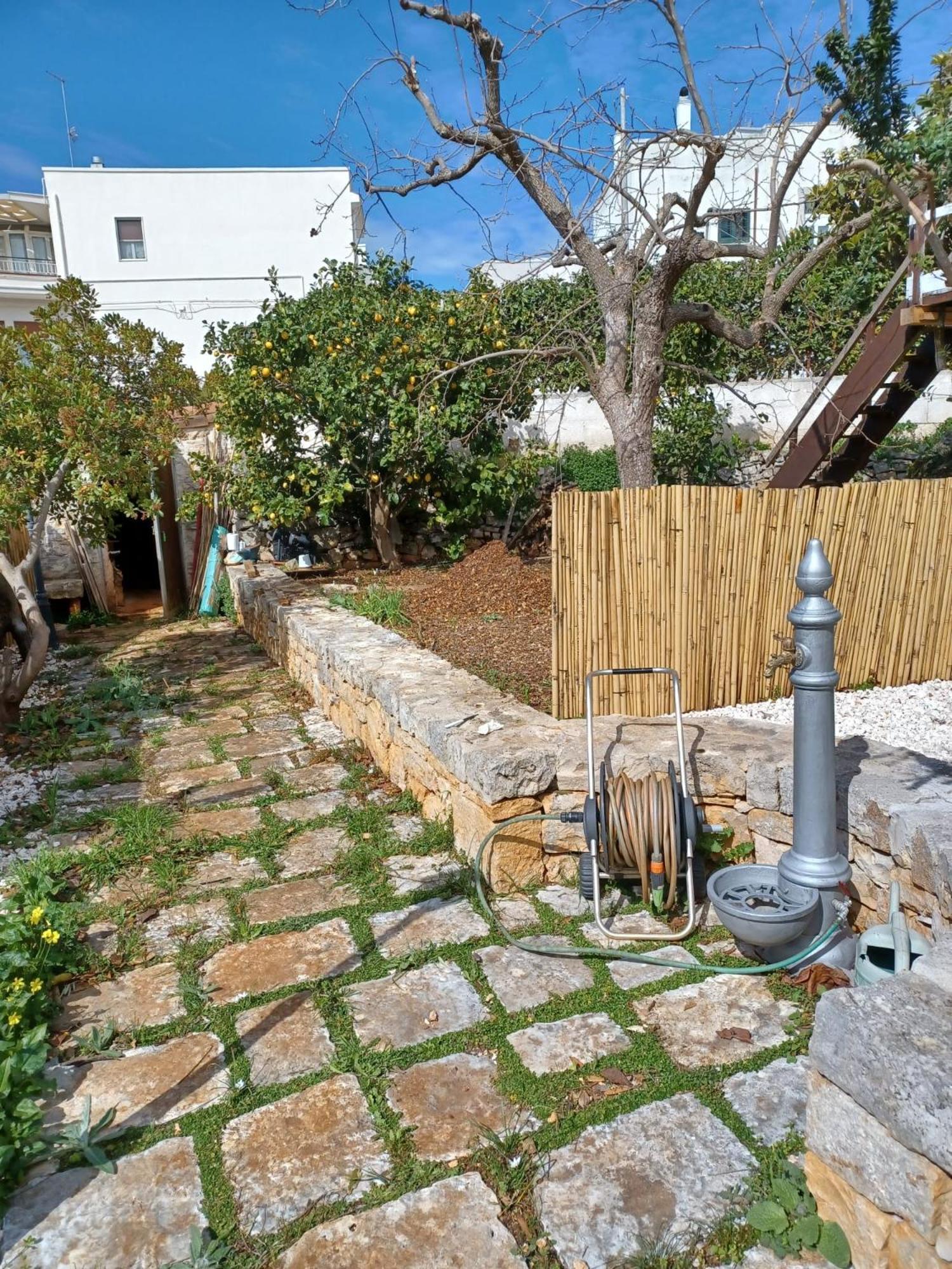 Trullo Vacanza Alberobello Eksteriør billede