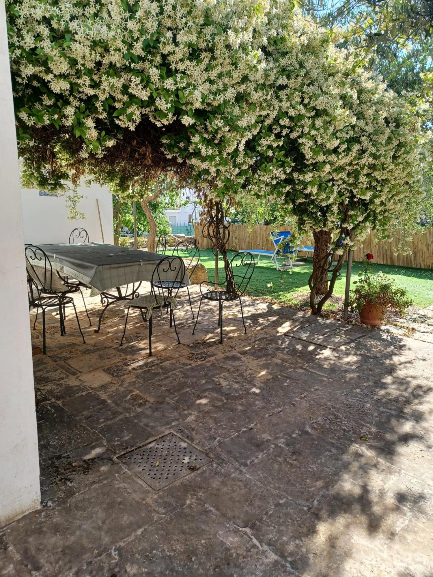 Trullo Vacanza Alberobello Eksteriør billede