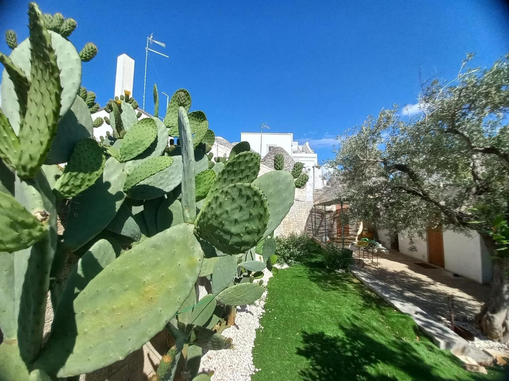 Trullo Vacanza Alberobello Værelse billede